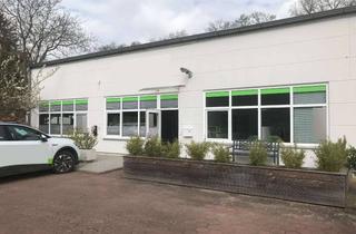 Büro zu mieten in Tornescher Weg 107, 25436 Uetersen, Büro in Gewerbehalle