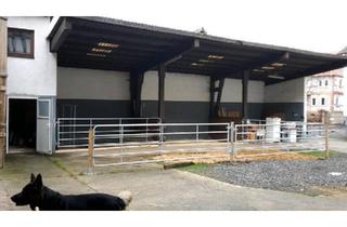 Bauernhaus kaufen in 35329 Gemünden, Gemünden (Felda) - Bauernhof Haus mit Nebengebäude