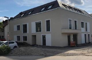 Loft kaufen in 74385 Pleidelsheim, Pleidelsheim - Dachgeschosswohnung in Pleidelsheim zum Kauf