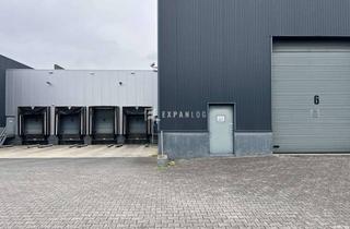 Gewerbeimmobilie mieten in 51399 Burscheid, Flexibel / Rampen / Modern