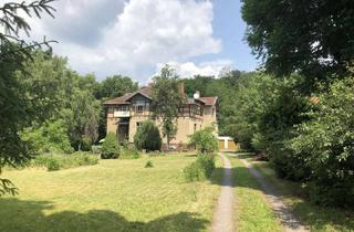 Villa kaufen in 99768 Ilfeld, Villa/Mehrfamilienhaus am Südharz in idyllischem Erholungsort - mit Ausbau-/Investmentpotential