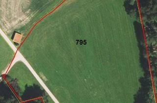 Gewerbeimmobilie kaufen in 83137 Schonstett, Grundstück 17.070 m² für landwirtschaftliche Nutzung in Schonstett, Bayern