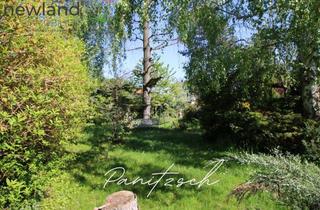 Grundstück zu kaufen in 04451 Borsdorf, Traumhaftes Grundstück in Panitzsch! Ihr neues Zuhause!