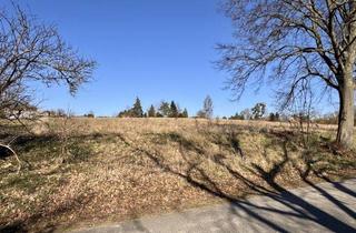 Grundstück zu kaufen in 17326 Brüssow, HORN IMMOBILIEN++ Baugrundstücke in Brüssow