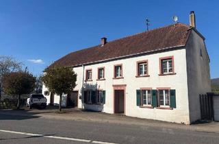 Bauernhaus kaufen in 54451 Irsch, Irsch - Charmantes Bauernhaus mit großem Grundstück in Irsch