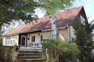 Haus kaufen in 55232 Alzey, Der kreativen Gestaltung steht alles offen ...... Ein- bzw. Zweifamilienhaus in Alzey