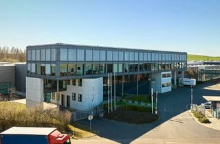Büro zu mieten in Salzstraße, 09629 Reinsberg, 6.900 m² Produktionshalle mit Büro- und Sozialanteil