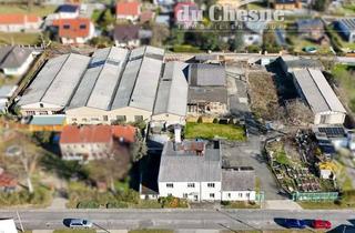Gewerbeimmobilie kaufen in 14943 Luckenwalde, 2200 m² Halle + Mehrfamilienhaus auf 6200 m² Grund