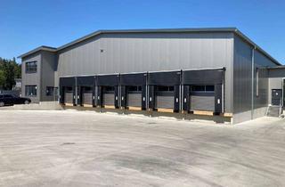 Büro zu mieten in Albert-Einstein-Ring 11, 27283 Verden, Neue Lager-, Logistikhalle mit Büro zu vermieten