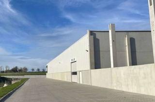 Gewerbeimmobilie mieten in 04655 Kohren-Sahlis, Moderne Logistikimmobilie in Frohburg