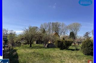 Grundstück zu kaufen in 15370 Fredersdorf-Vogelsdorf, Wunderschönes Baugrundstück mit idealer Südausrichtung