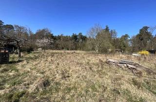 Grundstück zu kaufen in 48432 Rheine, Mit zwei Zweifamilienhäusern oder individuell bebaubar