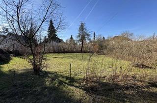 Grundstück zu kaufen in Perchtastraße 12, 13089 Heinersdorf, Naturbelassenes Eckgrundstück mit Entwicklungspotenzial