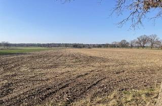 Grundstück zu kaufen in 27801 Dötlingen, Rd. 6 ha Ackerland in der Gemeinde Dötlingen/ Landkreis Oldenburg zu verkaufen