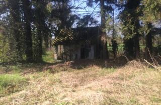 Grundstück zu kaufen in 26160 Bad Zwischenahn, Garten- und Freizeitgrundstück an der Stadtgrenze zu Oldenburg/ in Bloh/ Gemeinde Bad Zwischenahn