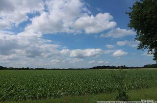 Grundstück zu kaufen in 26160 Bad Zwischenahn, Ca. 2,5 ha landwirtschaftliche Nutzfläche in der Gemeinde Petersfehn/ Landkreis Ammerland - Teilerwerb möglich!