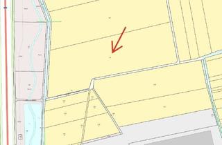 Grundstück zu kaufen in 67227 Frankenthal, +++ Ertragreiche Investition in die Zukunft! + OPTION: mit Photovoltaikanlage!? +++