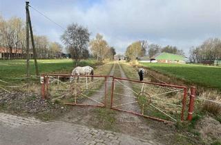 Haus kaufen in Dorfstraße 12, 21775 Odisheim, Ideal für Pferdehalter! Resthof mit Pferdeboxen und 4 ha Weideland am Haus! Odisheim