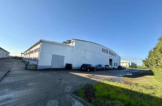 Gewerbeimmobilie mieten in Wulfener Landstraße 3b, 06386 Micheln, Lagerhalle im Trebbichau zu vermieten