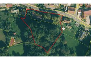 Grundstück zu kaufen in 92260 Ammerthal, Baugrundstück für mehrere EFH/ZFH für die ganze Familie und/oder Gewerbe!