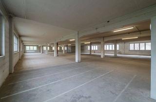 Geschäftslokal mieten in 95126 Schwarzenbach, Großzügige Lagerfläche mit Lastenaufzug im 3. OG insgesamt ca. 1.252 m² in Schwarzenbach/Saale - LKW-Zufahrt auf dem Areal - verkehrsgünstige Lage