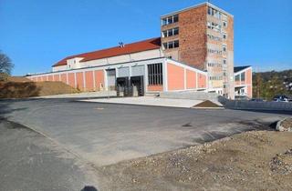 Geschäftslokal mieten in 95659 Arzberg, Lagerfläche ca. 260 m² in Arzberg - Untergeschoss mit Rampe zum Be- und Entladen - LKW Zufahrt auf dem Areal problemlos möglich - verkehrsgünstige Lage