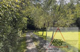 Bauernhaus kaufen in 49536 Lienen, Lienen - Perfekt für eine Pferdehaltung. Ehemalige Hofstelle mit Wirtschaftsteil, zwei Einliegerwohnungen, Scheune und vier Garagen und arrondierte Flächen