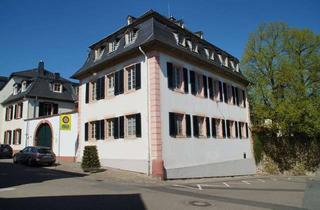 Wohnung kaufen in 55294 Bodenheim, ImmobilienPunkt*** Einzigartige Altbauwohnung in historischem Ambiente mit Garten
