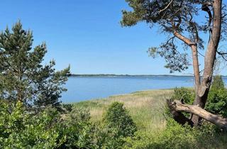 Haus kaufen in 17406 Rankwitz, Nordisch. Klar. Besonders. Ihr Ferienhaus nur wenige Schritte vom Wasser mit Kamin und Sauna.