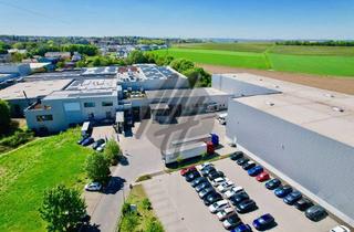 Büro zu mieten in 55232 Alzey, KEINE PROVISION ✓ Lager-/Produktion (17.400 m²) & Büro-/Sozial (3.000 m²)