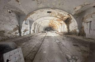 Gewerbeimmobilie mieten in Neue Straße 12, 04758 Liebschützberg, 2.100 m² (teilbar) Lager- und Stallgebäude + Verwalterhaus und 2 Garagen in Wellerswalde