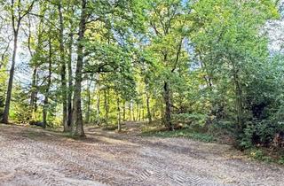 Grundstück zu kaufen in 21218 Seevetal, Neuer Preis! Herrliches Baugrundstück in beliebter Lage von Hittfeld