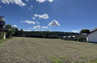 Grundstück zu kaufen in Schwepfing, 84524 Neuötting, Attraktives Baugrundstück provisionsfrei zu verkaufen