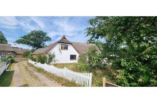 Haus kaufen in 18375 Born, Born auf dem Darß - Reetdachhaus und Ferienhaus in ruhiger verträumter Ortslage