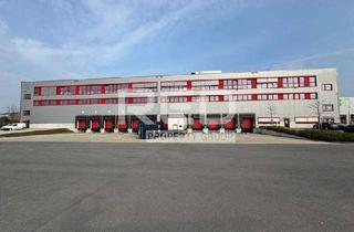 Gewerbeimmobilie mieten in 40221 Hafen, Im Alleinauftrag: Regalierte Logistikflächen - Höhe 12,2 m - 24/7 Genehmigung - WGK