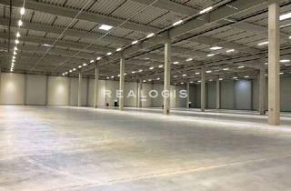 Büro zu mieten in 84478 Waldkraiburg, ca. 8.200 m² Neubau Lager-/Produktionsflächen inkl. Büro zu vermieten, teilbar