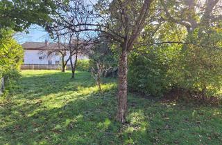 Grundstück zu kaufen in 85630 Grasbrunn, Baugrundstück im Herzen von Grasbrunn mit alternativem Schnitt