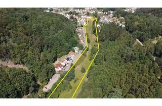 Grundstück zu kaufen in 66955 Niedersimten, +++ Für Naturliebhaber und Bauherren: 23432 m² fast ebenes und sonniges Grundstück mit Bachlauf +++