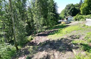 Grundstück zu kaufen in 82057 Icking, Naturromantik - Ruhiger Baugrund für Ihr Familiendomizil am Isarhochufer