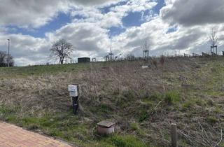 Grundstück zu kaufen in 55278 Mommenheim, großzügiges Grundstück nahe Golfplatz