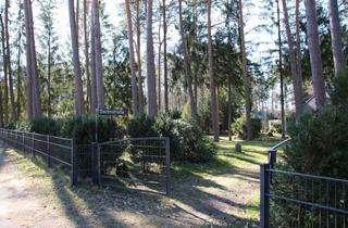 Grundstück zu kaufen in 21255 Kakenstorf, PHANTASTISCHES BAUGRUNDSTÜCK MIT WALDCHARAKTER IN KAKENSTORF ZU VERKAUFEN