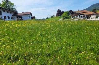 Grundstück zu kaufen in 83334 Inzell, Schöne und ruhige Lage - umgeben von der Bergwelt