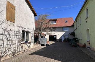 Immobilie kaufen in 06628 Naumburg, *Nimm 3 Häuser mit Charme, Natur und Nachhaltigkeit*