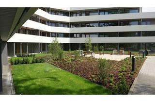 Wohnung mieten in 65719 Hofheim am Taunus, Luxuriöse 2-Zi-Wohnung - Neubau - Erstbezug - Traumlage - Altersresidenz