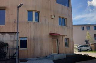 Wohnung mieten in Kientzheimerstraße, 79238 Ehrenkirchen, Nachhaltig wohnen mit modernem Comfort