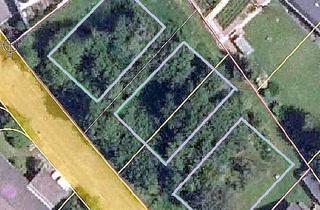 Grundstück zu kaufen in 72127 Kusterdingen, Sonnige, ruhige Baugrundstücke in Kusterdingen-Immenhausen