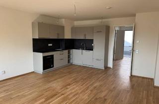 Wohnung mieten in Kohlenhofstraße, 90443 Nürnberg, Erstbezug! Moderne 2-Zi-Wohnung in Nürnberg Kohlenhof ab sofort