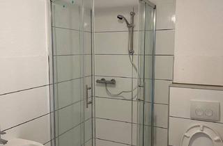 Wohnung mieten in In Der Delle, 45529 Hattingen, Helle 2 Zi Wohnung zu vermieten Erstbezug nach Renovierung