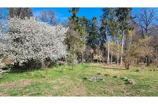 Villa kaufen in 07952 Pausa, Pausa-Mühltroff - Charmantes Anwesen auf großem Grundstück- Ideal für Familien,