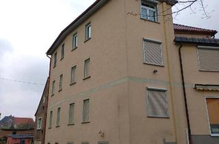 Mehrfamilienhaus kaufen in 07580 Ronneburg, Ronneburg - Zweifamilienhaus mit Dachterassse direkt am Teich